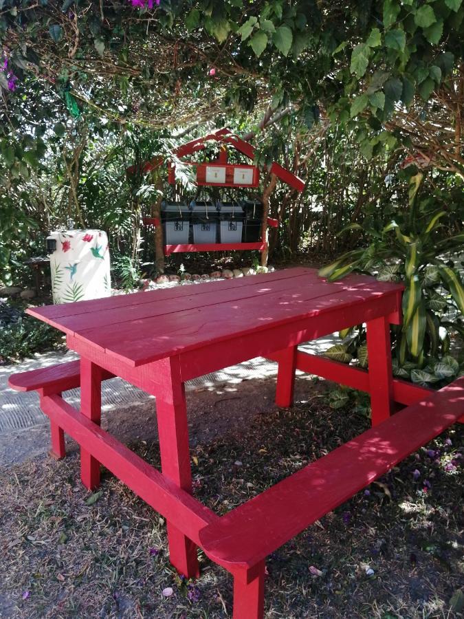 Pension Y Cabinas Colibri B&B Costa Rica Monteverde Bagian luar foto