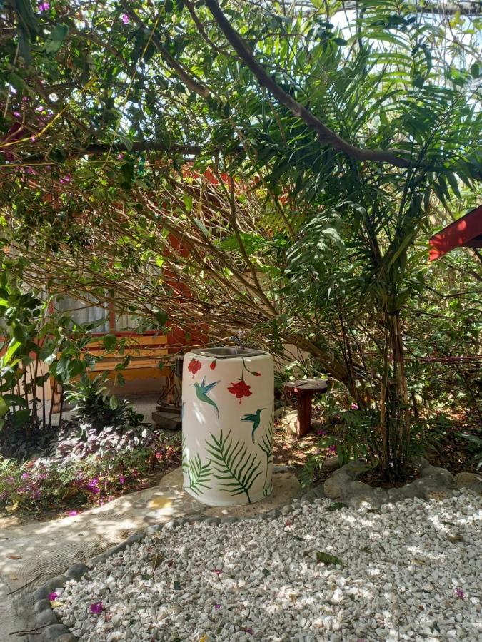 Pension Y Cabinas Colibri B&B Costa Rica Monteverde Bagian luar foto
