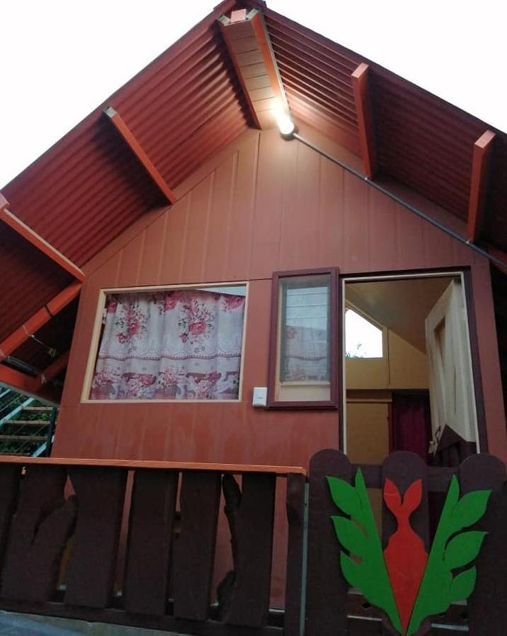Pension Y Cabinas Colibri B&B Costa Rica Monteverde Bagian luar foto