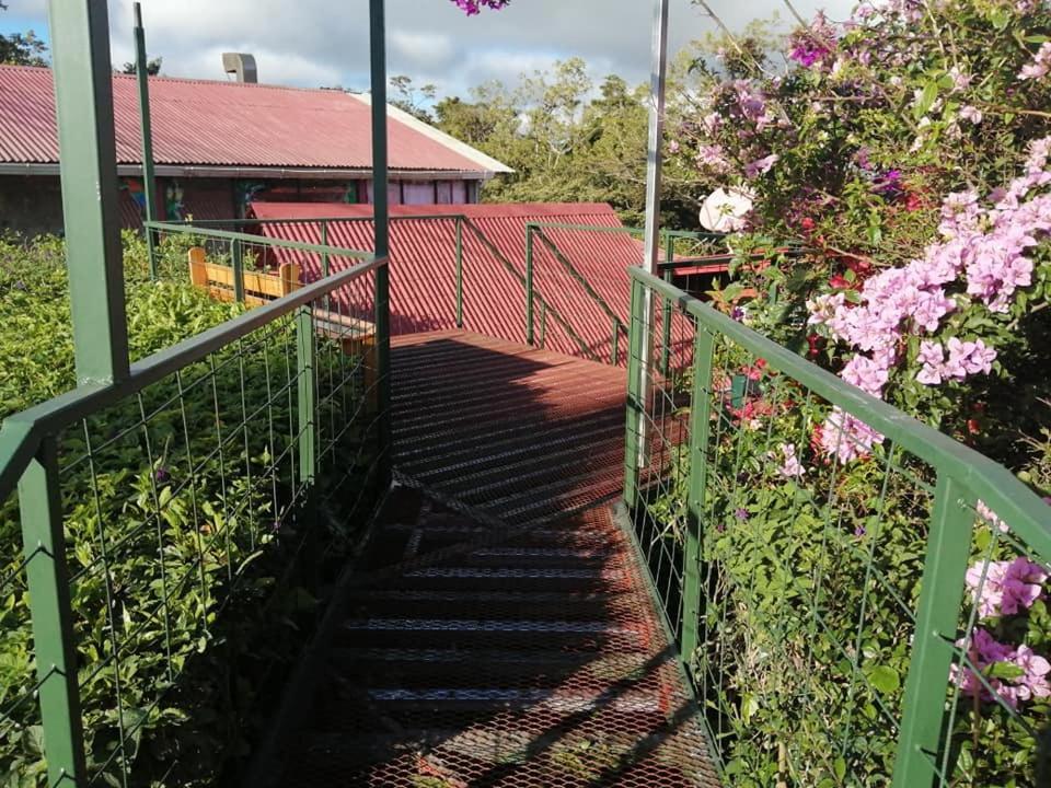 Pension Y Cabinas Colibri B&B Costa Rica Monteverde Bagian luar foto