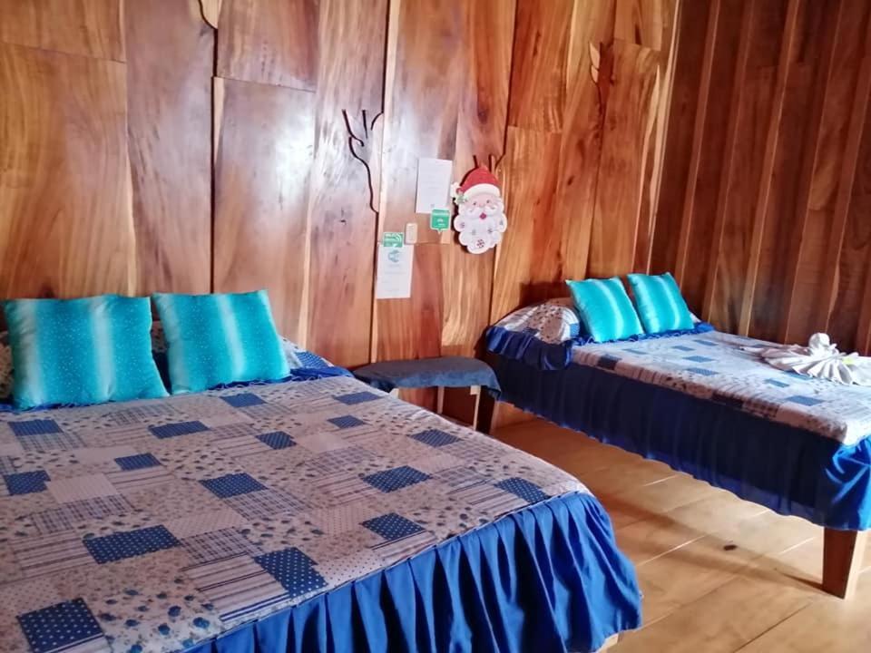 Pension Y Cabinas Colibri B&B Costa Rica Monteverde Bagian luar foto